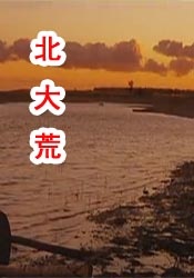 久久久青青草